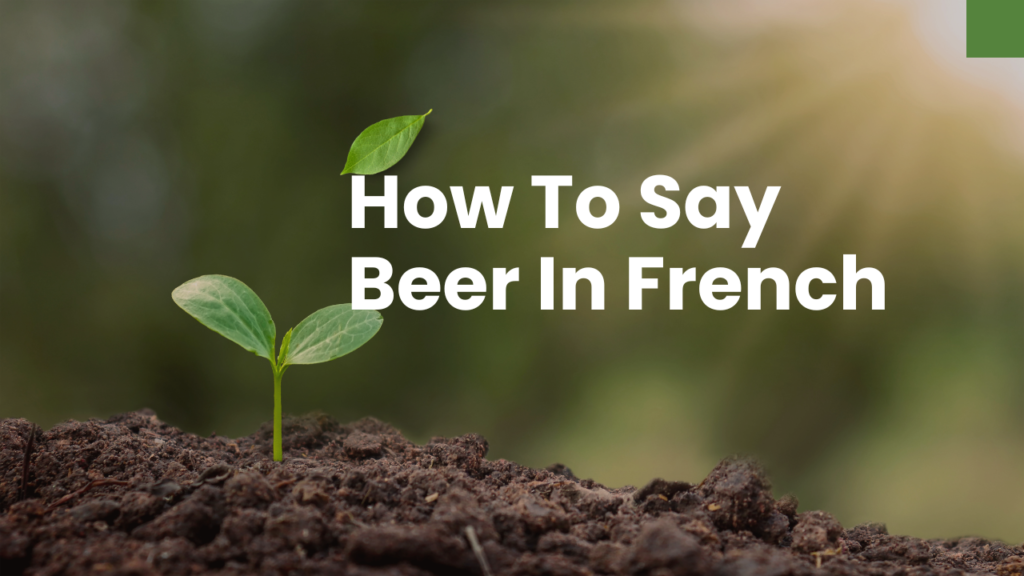 How To Say Beer In French