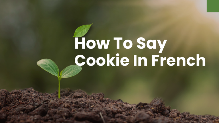 How To Say Cookie In French