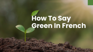 How To Say Green In French