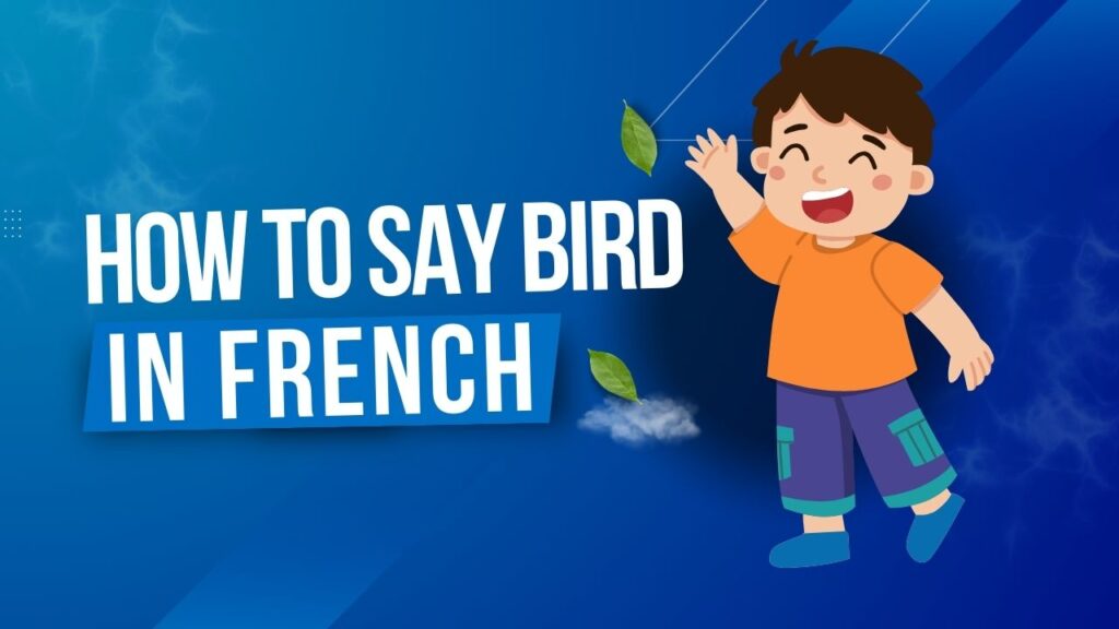 How To Say Bird In French