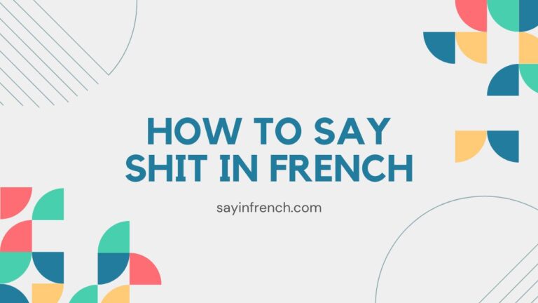 How To Say Shit In French