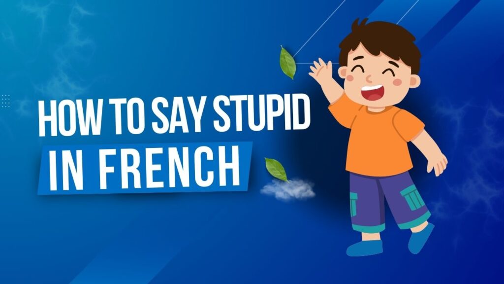 How To Say Stupid In French